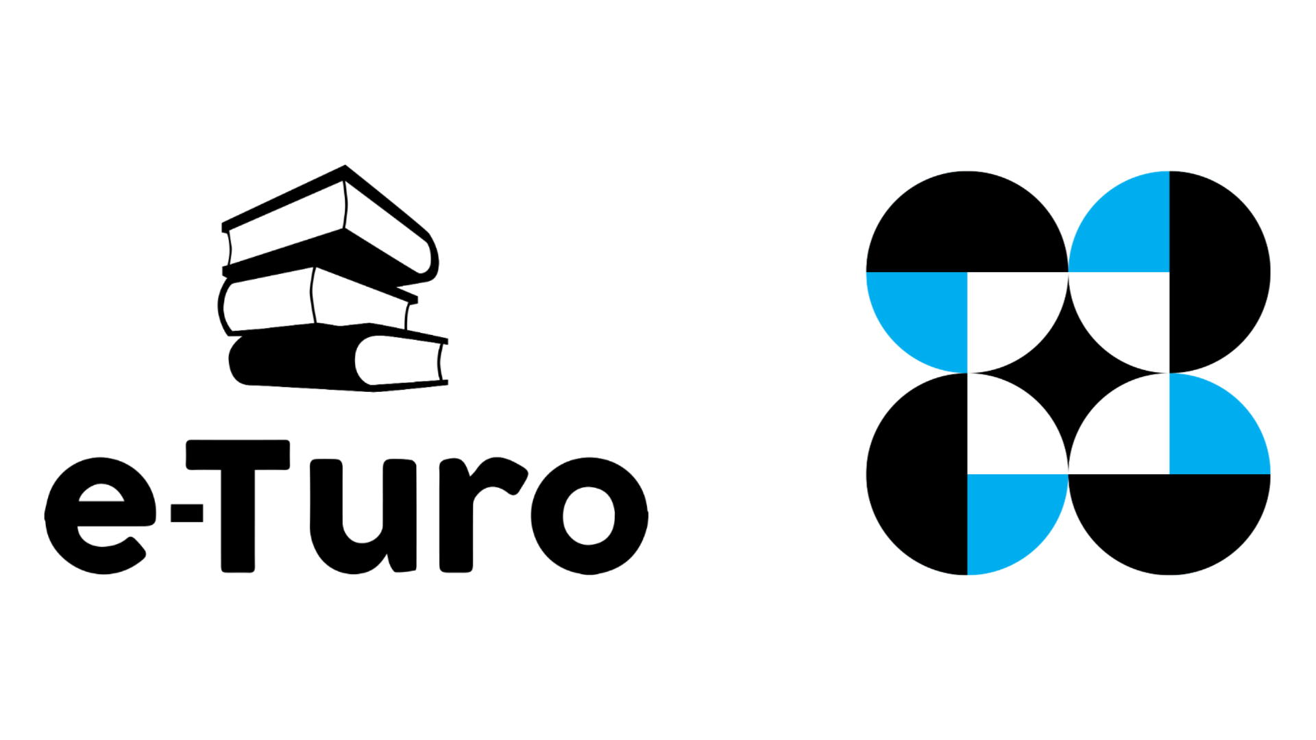e-Turo